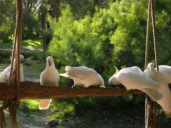The Burrow At Wombat Bend - Accommodation Port Macquarie 0