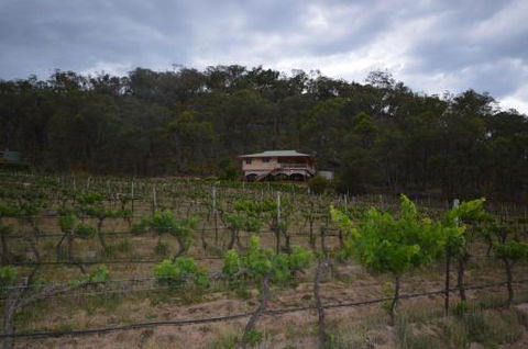 Sancerre Estate - Accommodation Port Macquarie 6