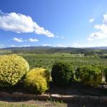 Sancerre Estate - Accommodation Port Macquarie 0