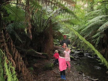 12 Apostles Cottages - Accommodation Port Macquarie 0
