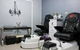 Bellarine Day Spa Retreat - thumb 1