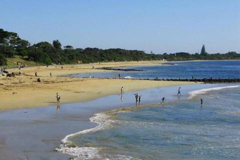 Roseneath Villa B & B - Accommodation Port Macquarie 5