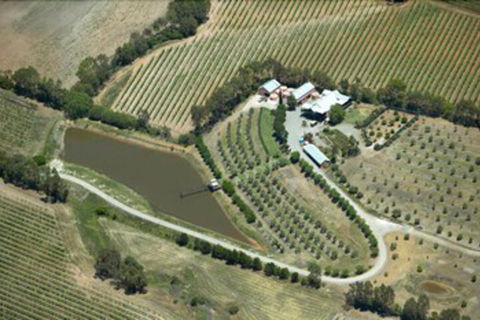 Patly Hill Farm - Accommodation Port Macquarie 1