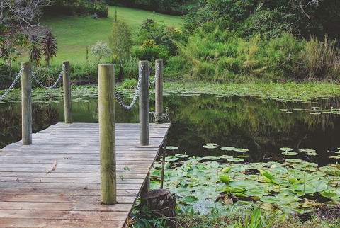 Allara Homestead - Accommodation Port Macquarie 0