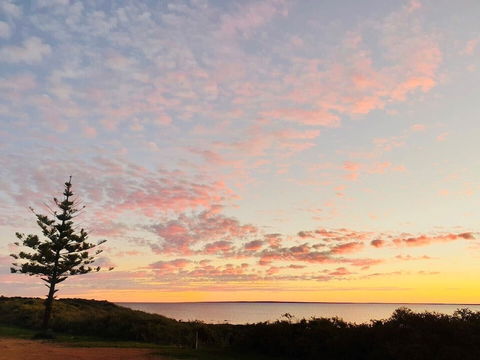 Highway One Ceduna - Accommodation Port Macquarie 0