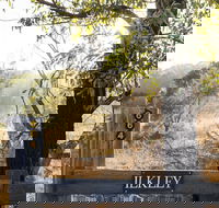Ilkley Cottages - Accommodation Port Macquarie