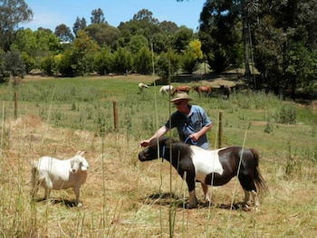 Country Cottages Of Bridgetown - Accommodation Port Macquarie 0