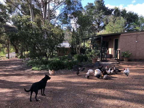 Country Cottages Of Bridgetown - Accommodation Port Macquarie 4