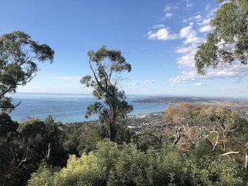 Dream Views At Arthurs Seat B&B - Accommodation Port Macquarie 0