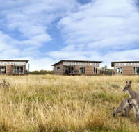 Savannah Cabins - Accommodation Port Macquarie