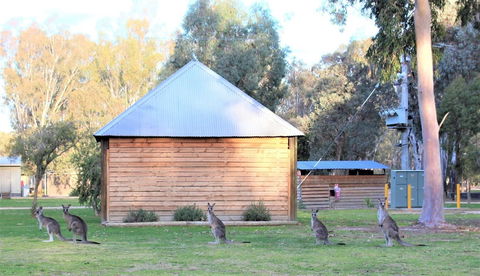 Ingenia Holidays Murray Bend - Accommodation Port Macquarie 1