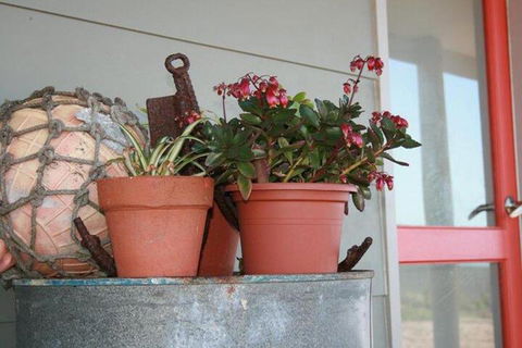 Bremer Bay B & B - Accommodation Port Macquarie 2