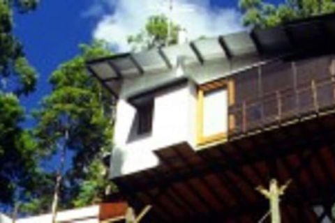Lyola Pavilions In The Forest - Accommodation Port Macquarie 1