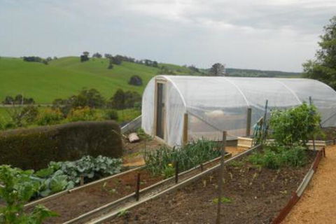 Emerald Hills Cottage - Accommodation Port Macquarie 7