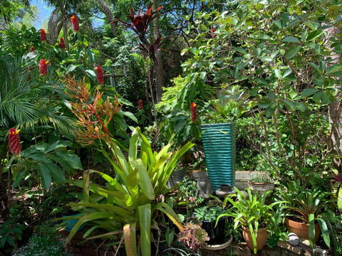 305 Montville - Accommodation Port Macquarie 4
