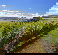 Riversdale Estate Cottages - Accommodation Port Macquarie