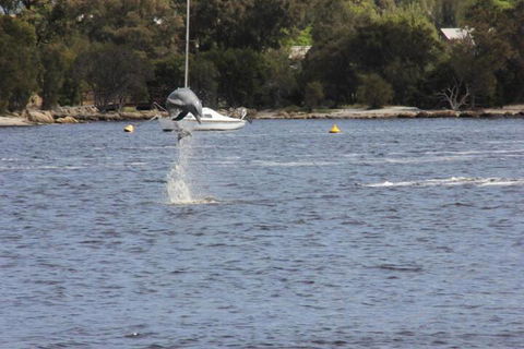 Tani Hill - Accommodation Port Macquarie 1
