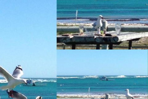 Lous Place - Accommodation Port Macquarie 6
