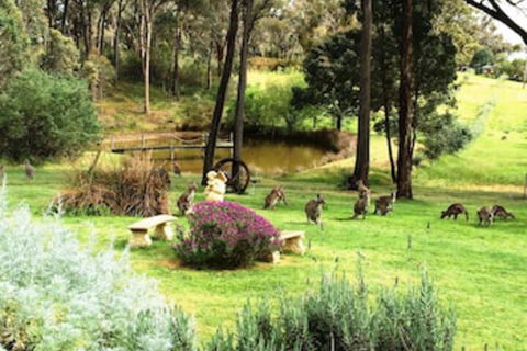 Countryside Connections Tranquil Studio - Accommodation Port Macquarie 0
