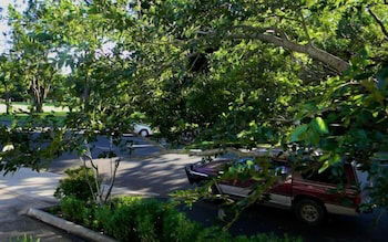 Glenellen Bed And Breakfast - Accommodation Port Macquarie 0