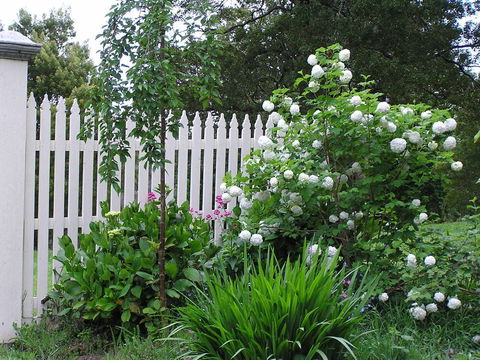 Lemonade Creek Cottages - Accommodation Port Macquarie 2