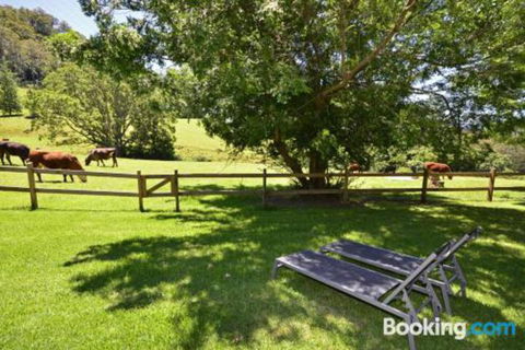 Secrets At Cedar Grove - Accommodation Port Macquarie 2