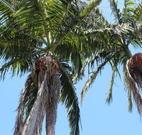 Tri Byron Bay - Accommodation Port Macquarie