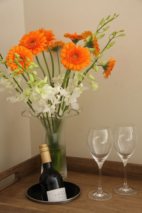 Travillas - Accommodation Port Macquarie 6
