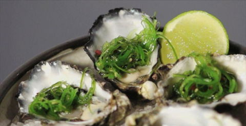 Mudbar And Restaurant - Accommodation Port Macquarie 3