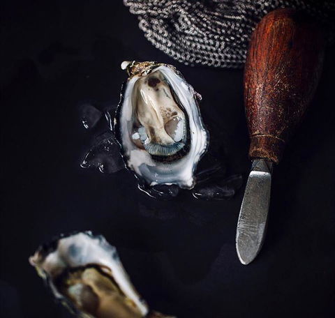 Shuck - Accommodation Port Macquarie 4