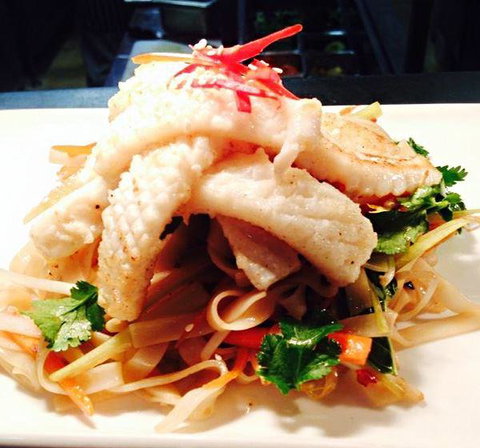 The Beach Shack - Accommodation Port Macquarie 6