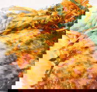 The Water Rat Hotel - Accommodation Port Macquarie