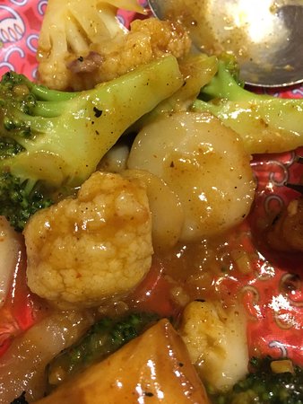 Toi Shan Chinese Restaurant - Accommodation Port Macquarie 0