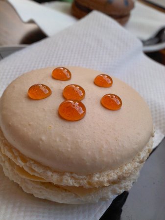 Yellow Bernard - Accommodation Port Macquarie 0