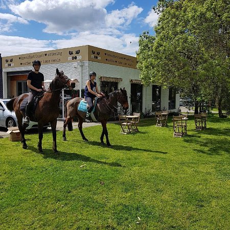 Miss Moose Tuck Shop - Accommodation Port Macquarie 0