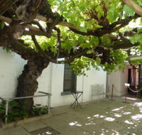 The Vine - Accommodation Port Macquarie