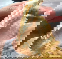 Coleraine Milk Bar - Accommodation Port Macquarie