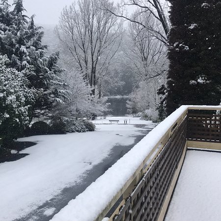 Bogong VIC Accommodation Port Macquarie