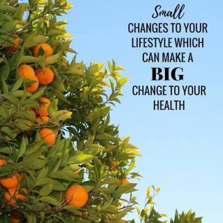 Nelson Bay Health Foods - Accommodation Port Macquarie 0