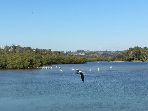 Thai On The River - Accommodation Port Macquarie 0