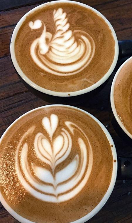 Cafe In Tokyo - Accommodation Port Macquarie 4