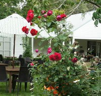 Sturt Coffee - Accommodation Port Macquarie