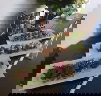 Blue Gum Cafe and Restaurant - Accommodation Port Macquarie