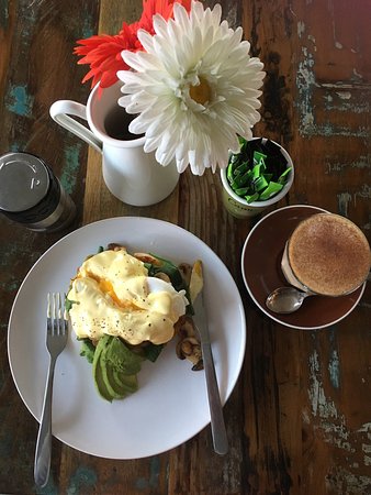 Dark Horse Coffee - Accommodation Port Macquarie 0