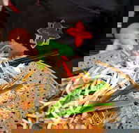 Thai Square Springwood - Accommodation Port Macquarie