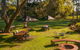 Alstonville Garden House - thumb 0