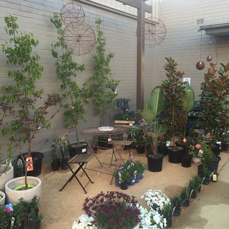 The Gardener's Rest - Accommodation Port Macquarie 0