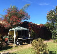 Tutti Fruitti - Accommodation Port Macquarie
