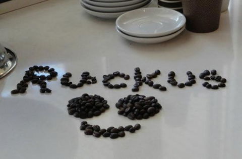 Coffee Ruckus - Accommodation Port Macquarie 0