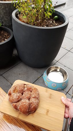 Doughnut Department - Accommodation Port Macquarie 0